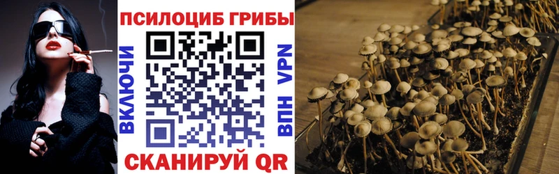 купить Белоусово Псилоцибиновые грибы Psilocybine cubensis